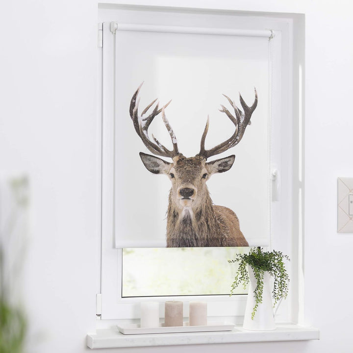 Lichtblick Klemmfix Tageslicht-Rollo mit Motiv, ohne Bohren, Blickdicht, Seitenzugrollo, Made in Ger