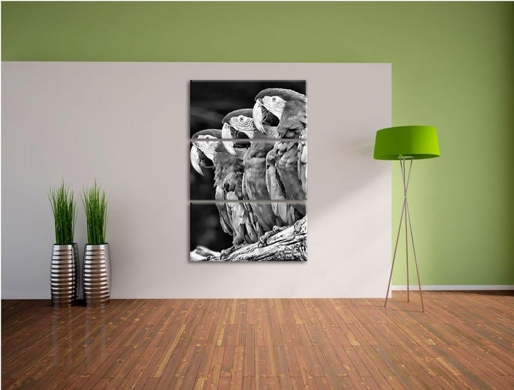 Papageien auf AST als Leinwandbild/Grösse: 3 Teilig (120x80) cm/Wandbild/Kunstdruck/fertig bespannt