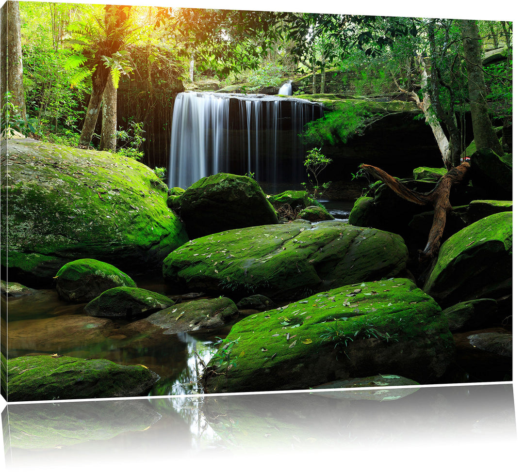 Pixxprint Regenwald in Thailand als Leinwandbild/Grösse: 100x70 cm/Wandbild/Kunstdruck/fertig bespan