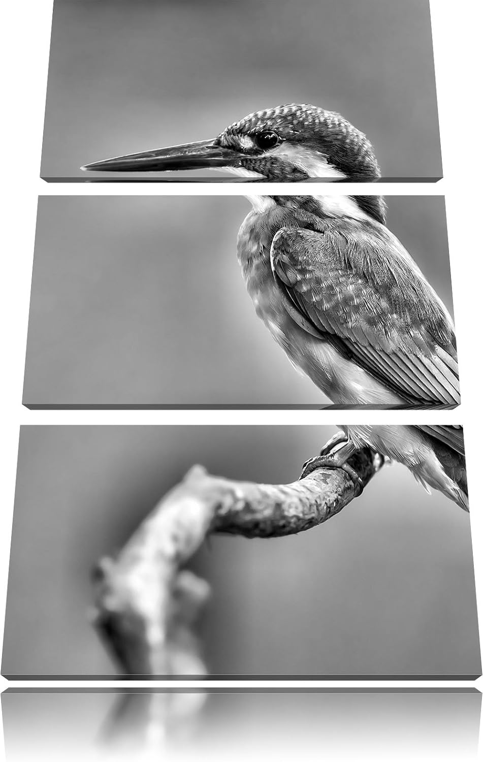 Pixxprint Kleiner Eisvogel als Leinwandbild/Grösse: 3Teilig / Wandbild/Kunstdruck/fertig bespannt