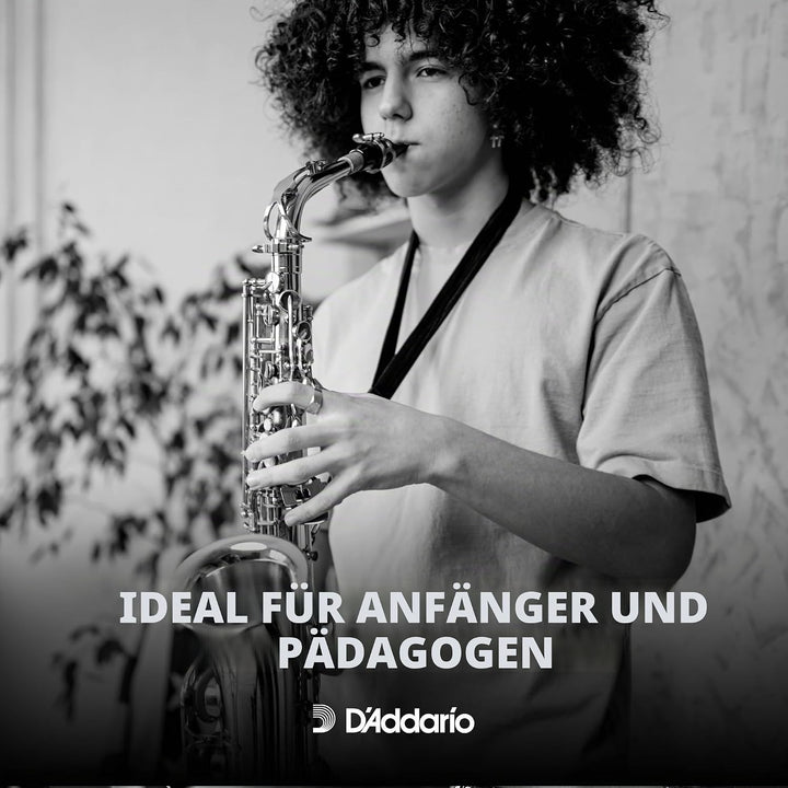 RICO Blätter für Tenorsaxophon 10-Pack 10 Packung, 10-Pack 10 Packung