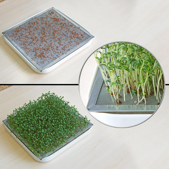 Royal Gardineer Sprossengläser: 2er-Set Keimgläser mit Doppelständer, Kressesieb, Auffangschale, je