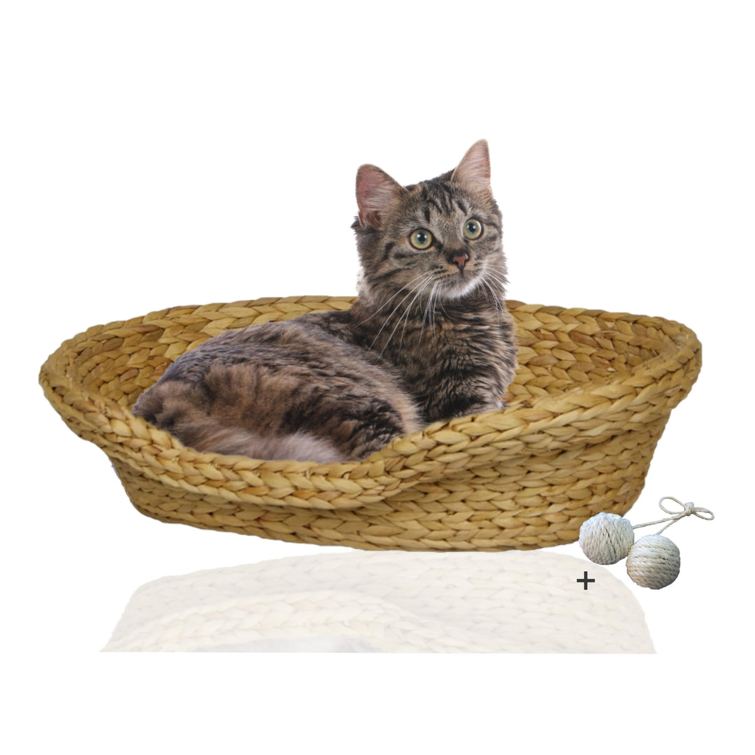 Rohrschneider Komfortables Katzenkörbchen, umweltfreundlich, 2 Grössen (1), 1