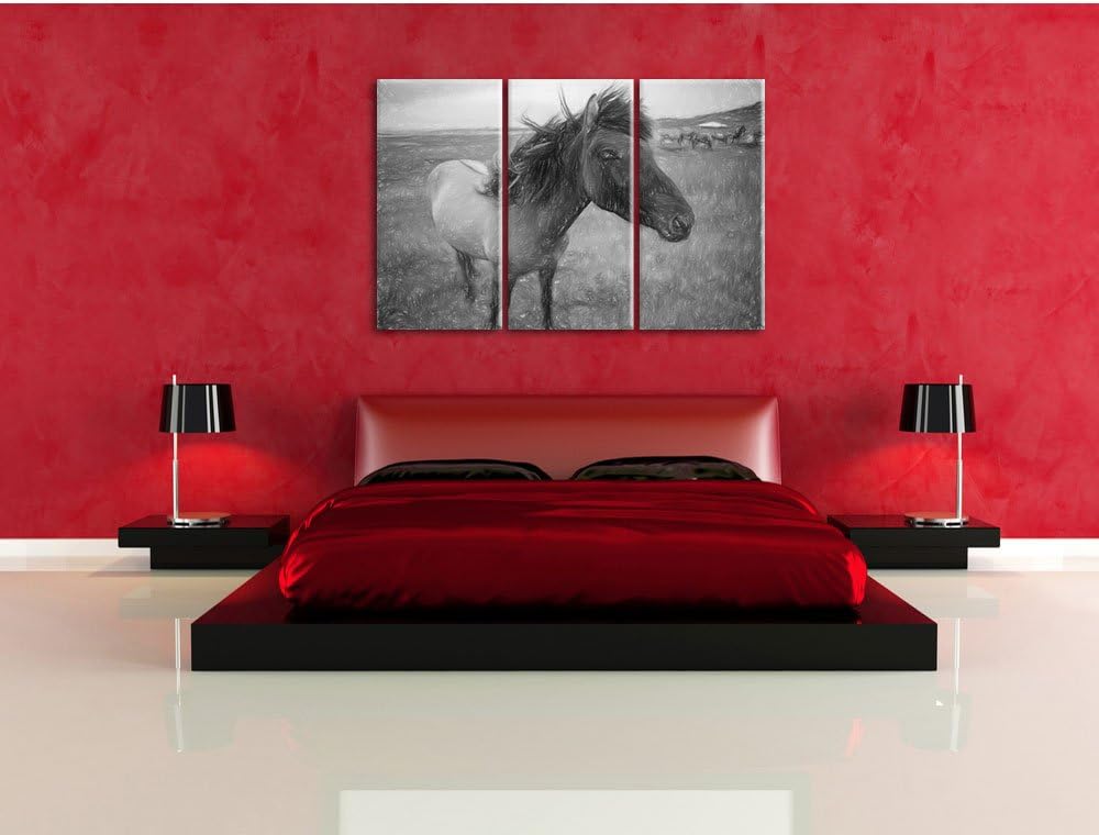Isländer Pferde in der Wildnis als Leinwandbild/Grösse: 3 Teilig (120x80 cm) cm/Wandbild/Kunstdruck/