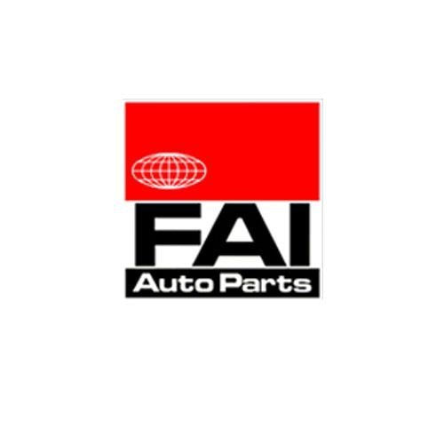 FAI Autoparts TCK174 - Steuerkettensatz