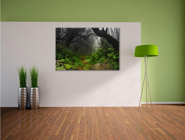 Pixxprint Mystischer Regenwald Schwarz/Weiss, Format: 100x70 auf Leinwand, riesige Bilder fertig ger