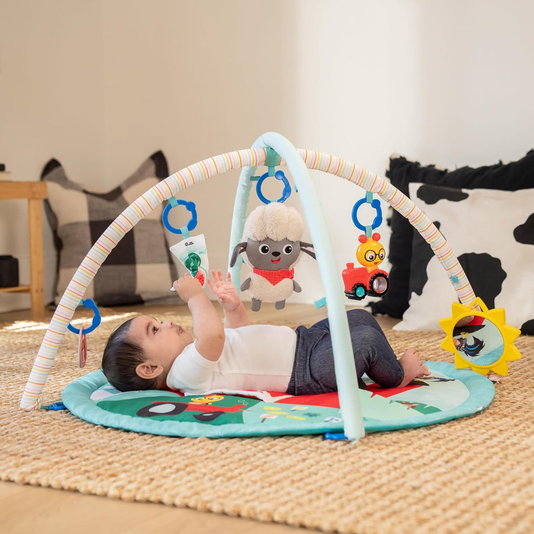 Baby Einstein Farm Explorers Happy Harvest Touch &amp; Feel Aktivitätsspielzeug mit musikalischem Plüsch