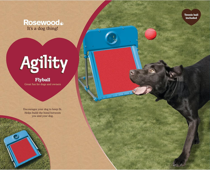 Rosewood Hunde Agility Flyball Kit 1 Stück (1er Pack) Rot/Blau, 1 Stück (1er Pack) Rot/Blau