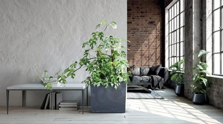 MELTOM Blumenkübel Blumenkasten mit Einsatz Quadratisch Beton Optik Farbe: Grau XL (BxH): 58 x 50 cm