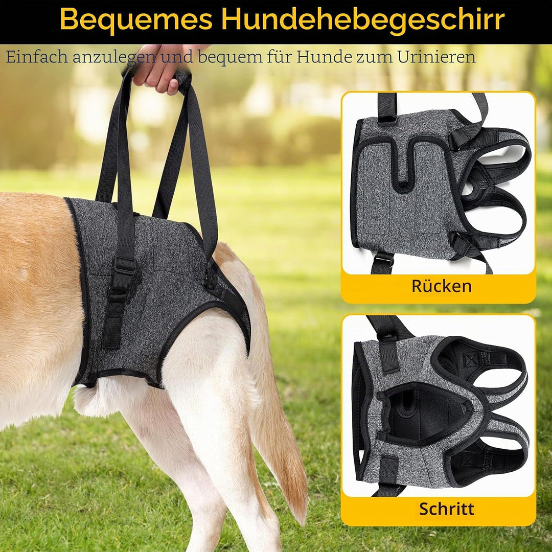 HEYWEAN Tragehilfe mit Handgriff für Hinterbeine - Tragegeschirr für Kleine Mittlere Grosse Hunde -
