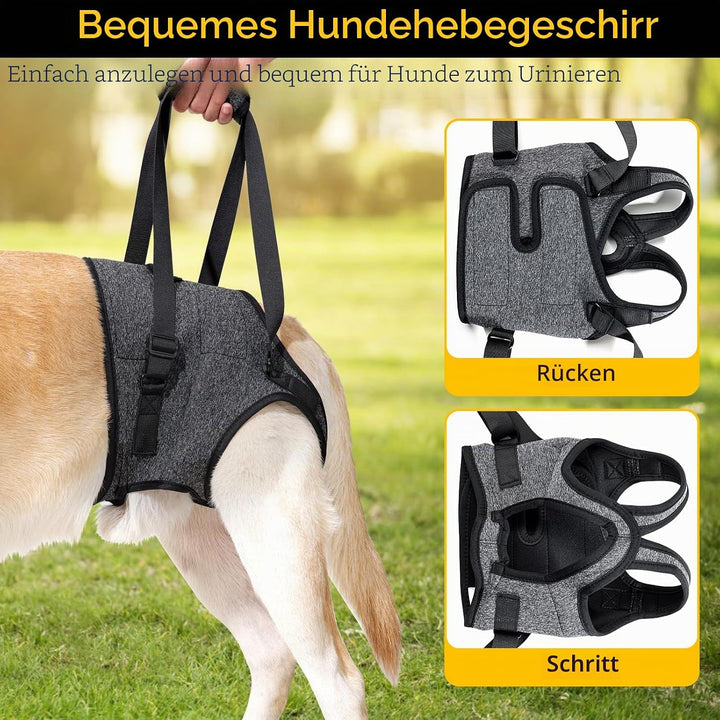 HEYWEAN Tragehilfe mit Handgriff für Hinterbeine - Tragegeschirr für Kleine Mittlere Grosse Hunde -