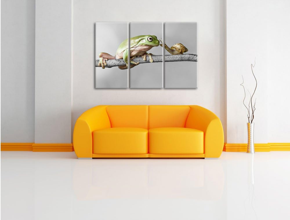Pixxprint der Frosch und die Schnecke B&W Detail 3-Teiler Leinwandbild 120x80 Bild auf Leinwand