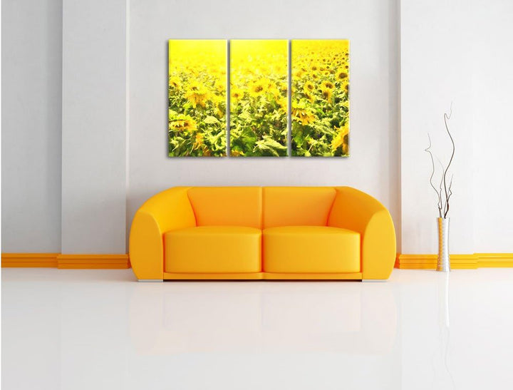 Pixxprint Riesiges Sonnenblumenfeld / 3-Teilig/Gesamtmass 120cm Leinwandbild bespannt auf Holzrahmen
