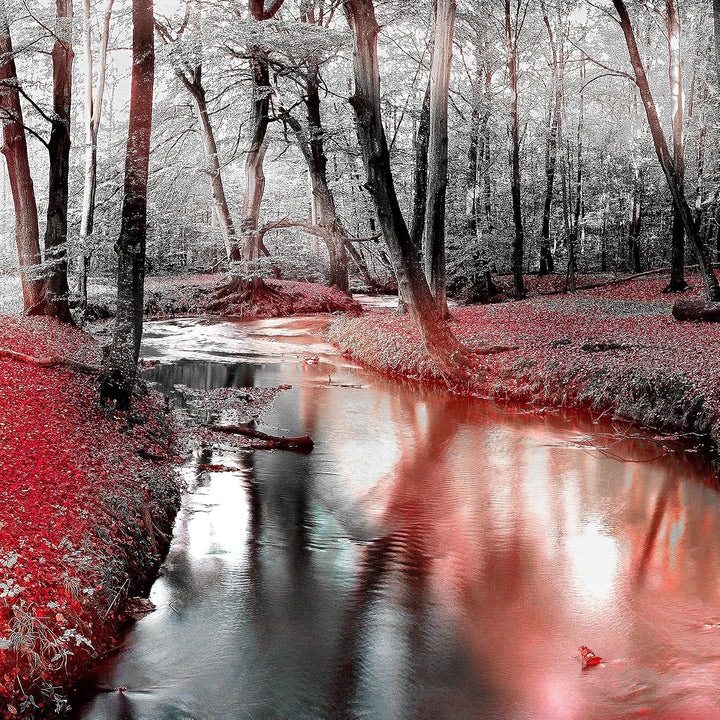 Runa Art Bild Wald Landschaft Wandbilder auf Vlies Leinwand 5 Teilig Wanddekoration Schlafzimmer Woh