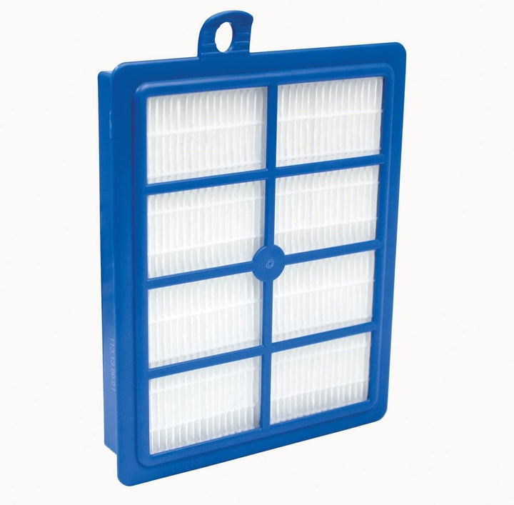 AEG AFS1W Allergy Plus Filter (Ideal für Allergiker, Filterwirkung mehr als 99%, saubere Luft, wasch