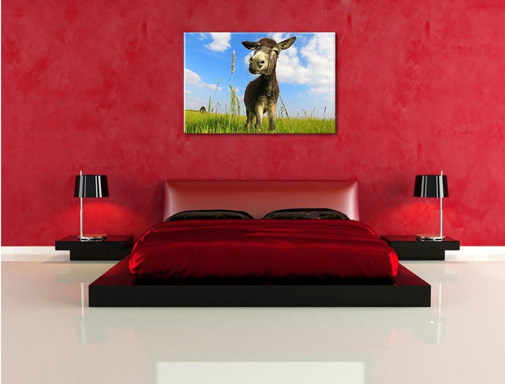 Pixxprint Esel in einem Feld in sonnigen Tag, Format: 100x70 auf Leinwand, 100x70