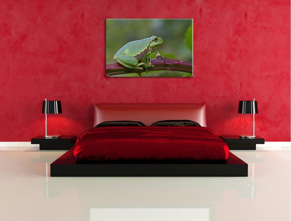 kleiner Frosch auf Dornenast Leinwand, XXL riesige Bilder fertig gerahmt mit Keilrahmen, Kunstdruck