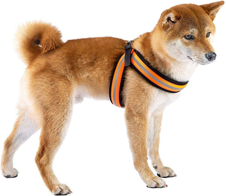 Ferplast AGILA Reflex 6 Harness Black