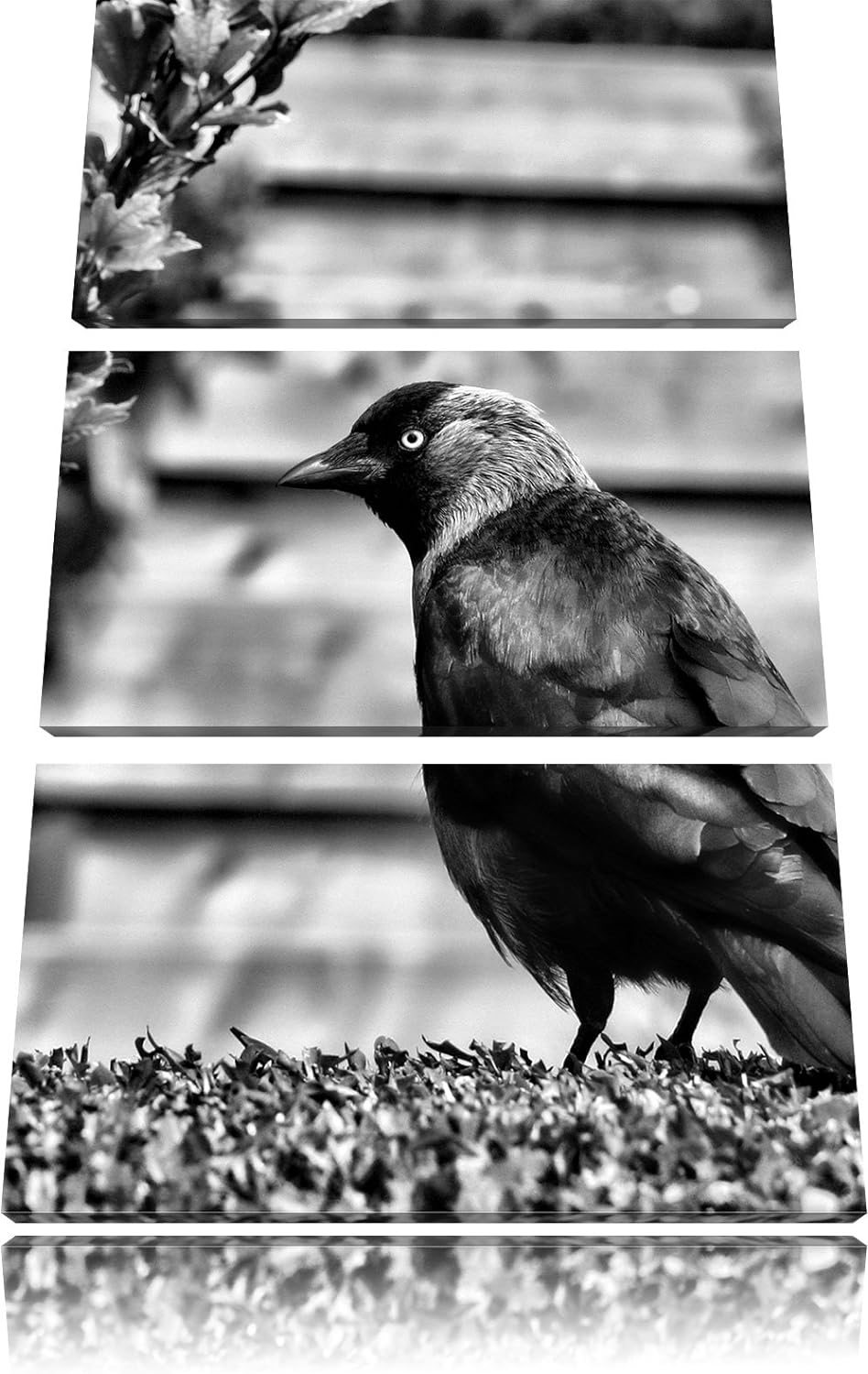 Pixxprint Vogel auf Gartenwiese als Leinwandbild/Grösse: 3 Teilig (120x80) cm/Wandbild/Kunstdruck/fe