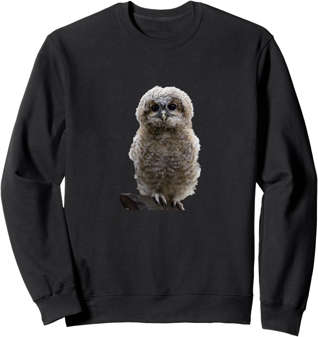 Falknerei: süsse Babyeule Sweatshirt