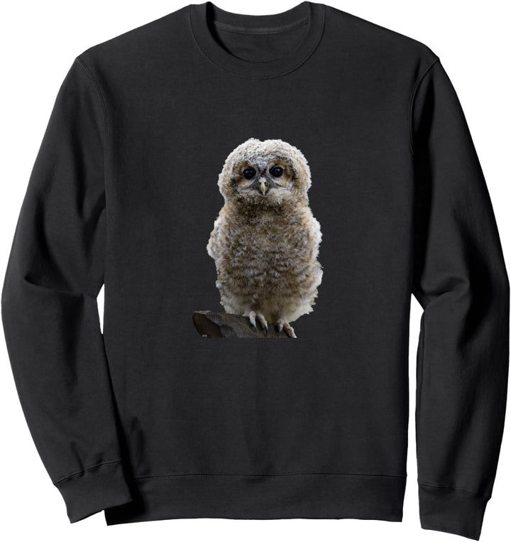Falknerei: süsse Babyeule Sweatshirt
