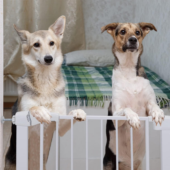 Nobleza - Türschutzgitter für Hunde und Kinder, Treppenschutzgitter Ausziehbar 75-82 cm, Kindergitte
