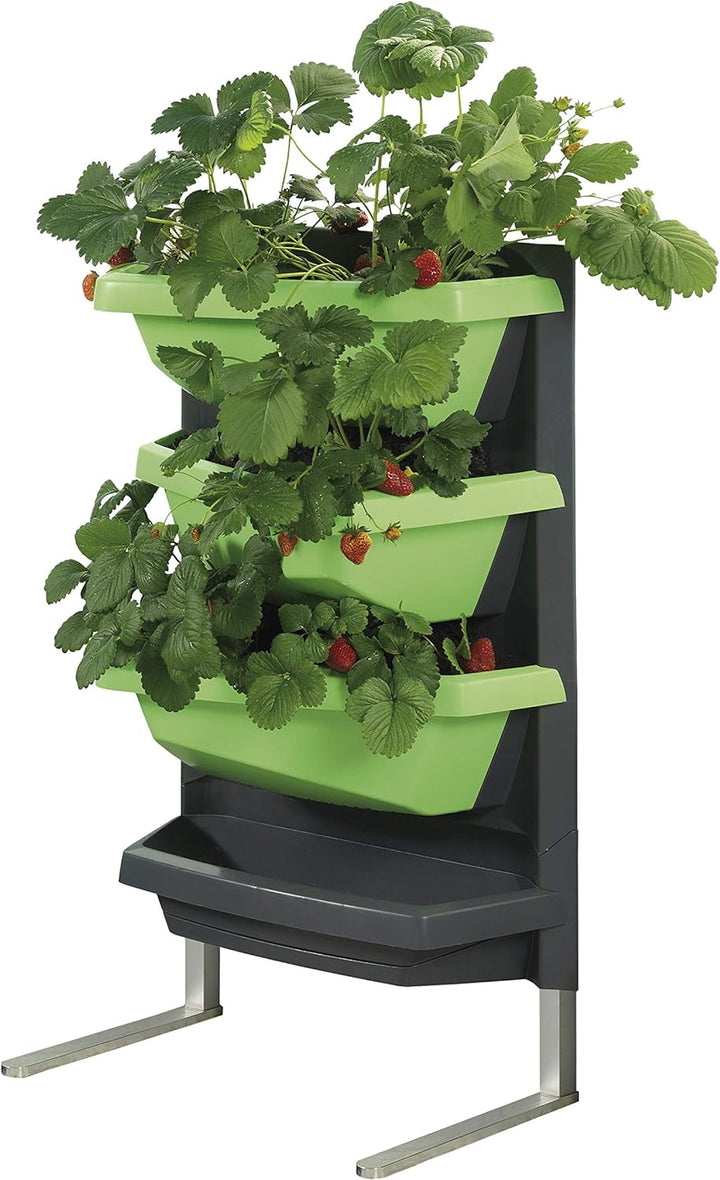 Juwel Vertical Garden Standfuss für Pflanzschalen (Gestell aus Aluminium, zum Aufstellen ohne Wandbe