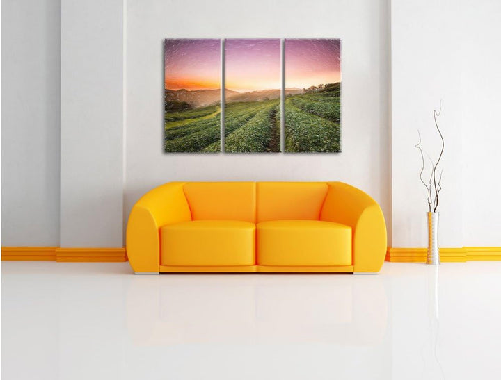 Pixxprint Sonnenaufgang Teeplantage Thailand / 3-Teilig/Gesamtmass 120cm Leinwandbild bespannt auf H