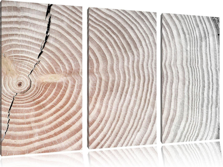 Pixxprint Baumstamm Jahresringe / 3-Teilig/Gesamtmass 120cm Leinwandbild bespannt auf Holzrahmen/Wan