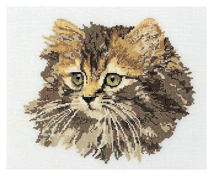 Thea Gouverneur - Kreuzstich-Set - LanghaarigeBraune Katze - Leinen - 24 Count - Für Erwachsene - 93