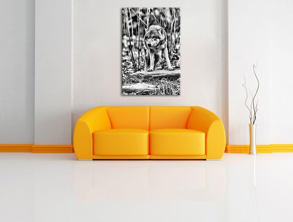 Monocrome, lauernder Wolf, Format: 100x70 auf Leinwand, XXL riesige Bilder fertig gerahmt mit Keilra