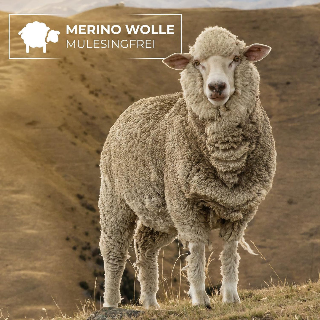 GIESSWEIN ÖSV Headband Adelboden - Ski Austria Merino Stirnband, Damen &amp; Herren Ohrenwärmer aus Meri