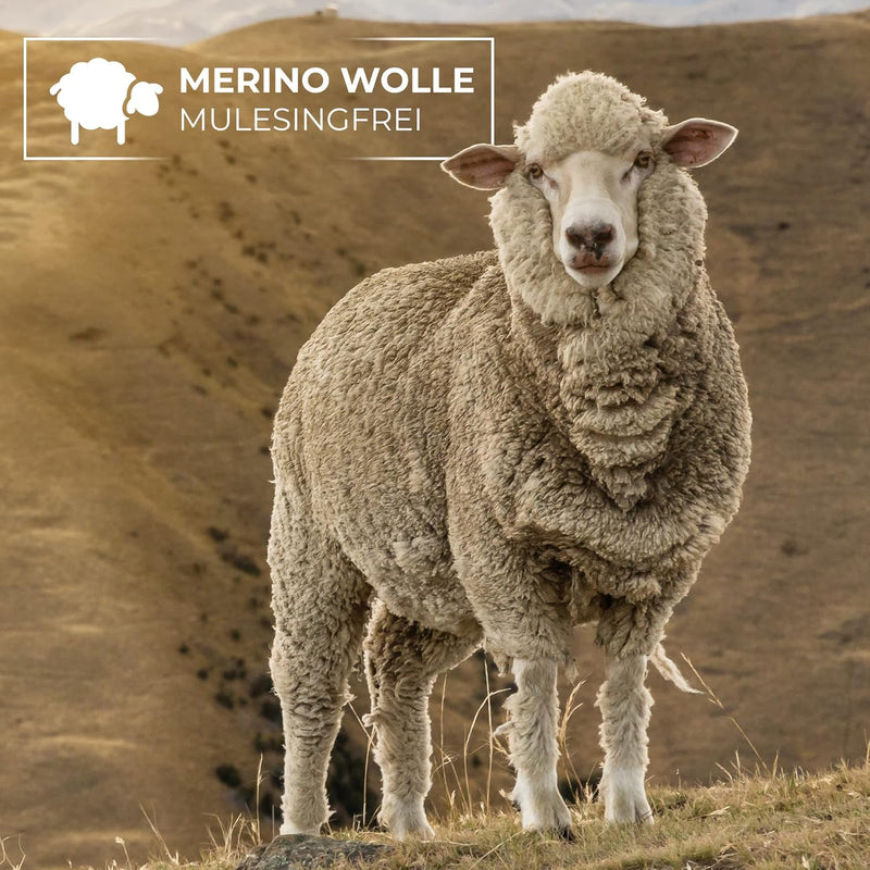 GIESSWEIN Stirnband Brentenjoch - Merino Jersey Headband, Damen & Herren Ohrenwärmer aus 100% Merino