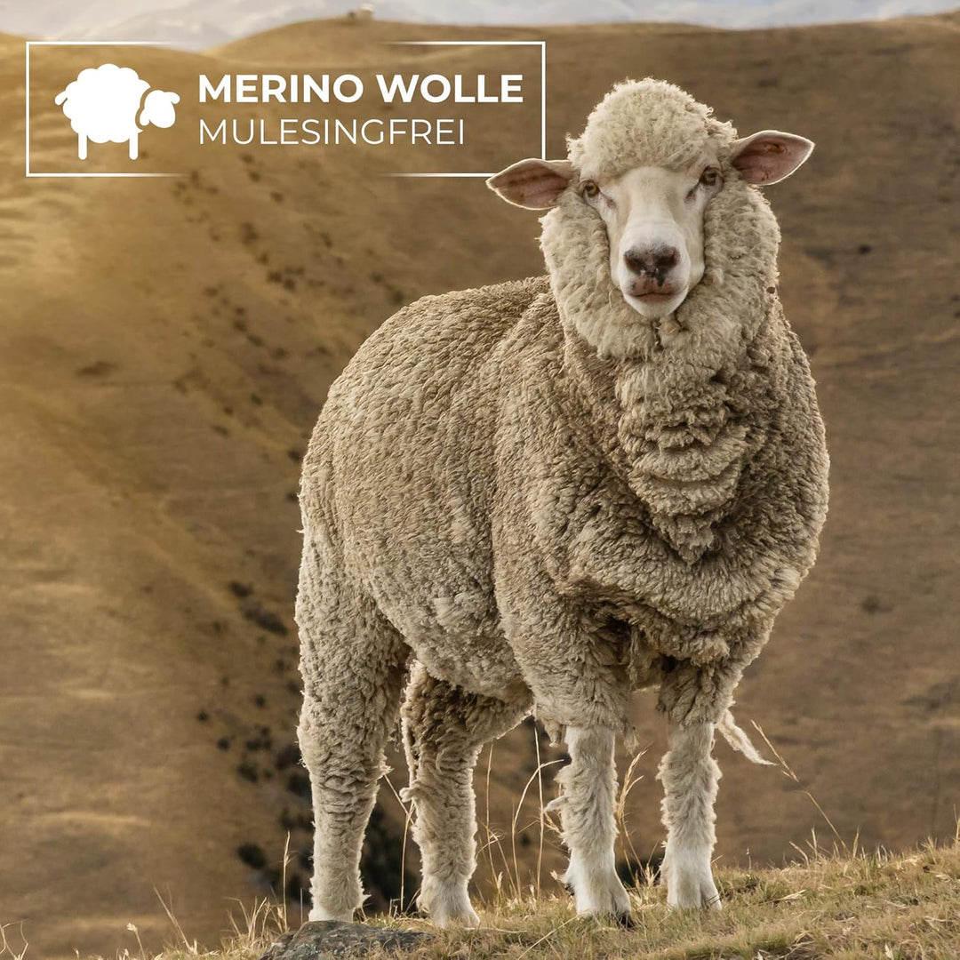 GIESSWEIN Stirnband Brentenjoch - Merino Jersey Headband, Damen &amp; Herren Ohrenwärmer aus 100% Merino