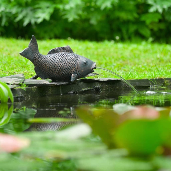 Exclusive - Wasserspeier Fisch