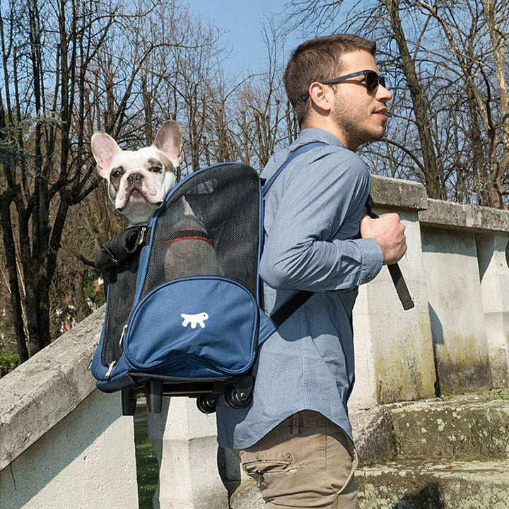 Transportbox für Kleine Hunde und Katzen Trolley mit Rollen, Rucksack für Kleine Hunde Katzen, Teles