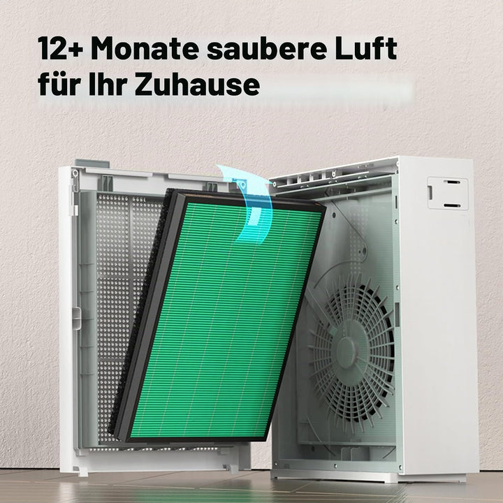 Coway Airmega 150 Luftreiniger Ersatzfilter-Set, True HEPA, Aktivkohlefilter, Schwarz, 3 Piece, 2 Fi