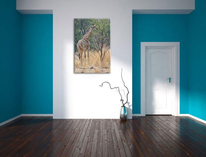 Pixxprint Giraffe beim Fressen auf Leinwand, XXL riesige Bilder fertig gerahmt mit Keilrahmen, Kunst