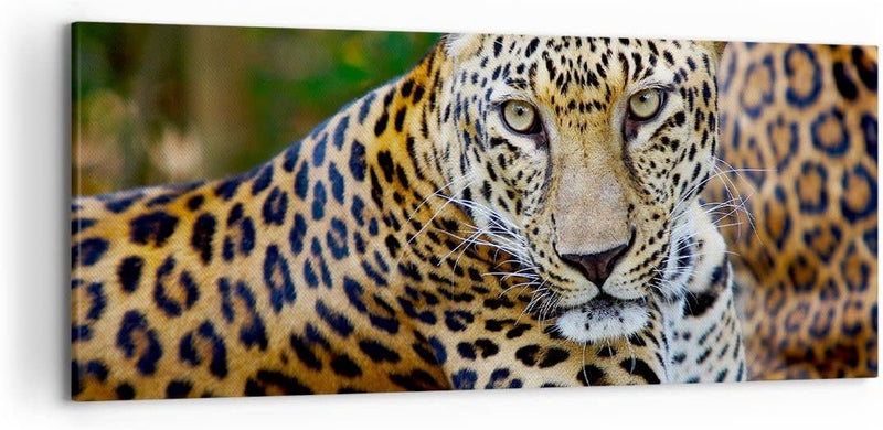 ARTTOR Wandbilder Dekoration Wohnzimmer Leopardpanther Katze Tier Savanne Bilder auf Leinwand 120x50