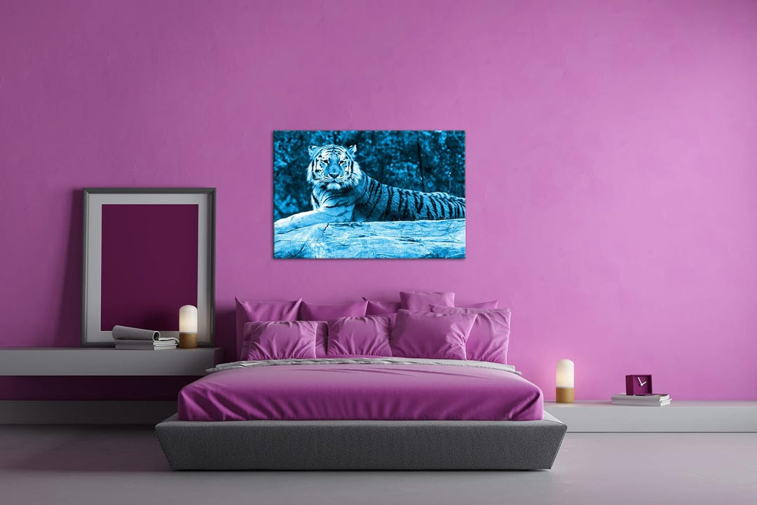 deyoli anmutiger ruhiger Tiger Format 80x60 Effekt: Monocrome Blau als Leinwandbild, Motiv fertig ge