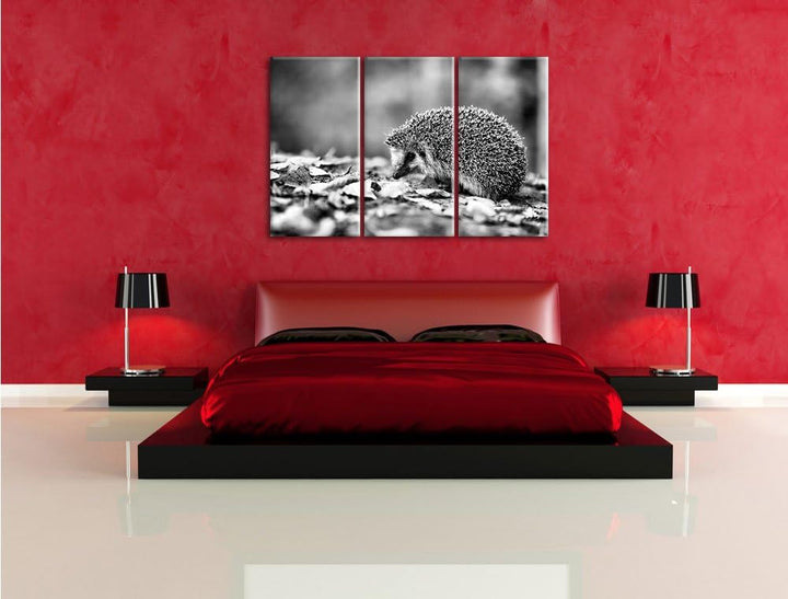 Pixxprint Igel im Laub als Leinwandbild/Grösse: 3 Teilig (120x80) cm/Wandbild/Kunstdruck/fertig besp