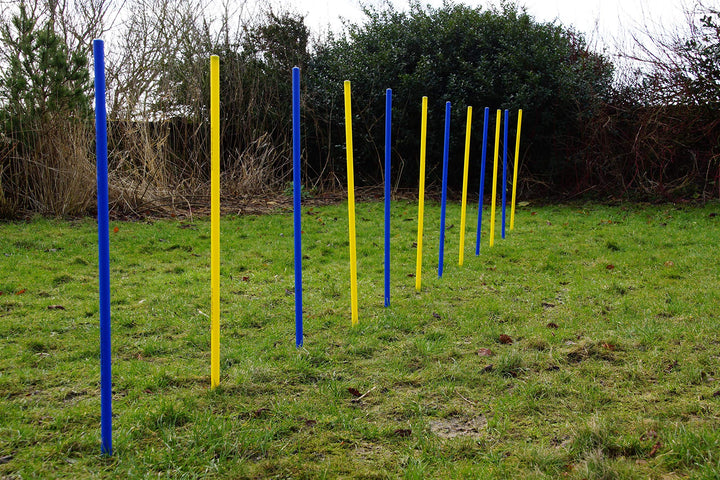 AGILITY-ÜBUNGS-SLALOM-SET BLAU/GELB FLEXIBLE,RUNDE STANGEN