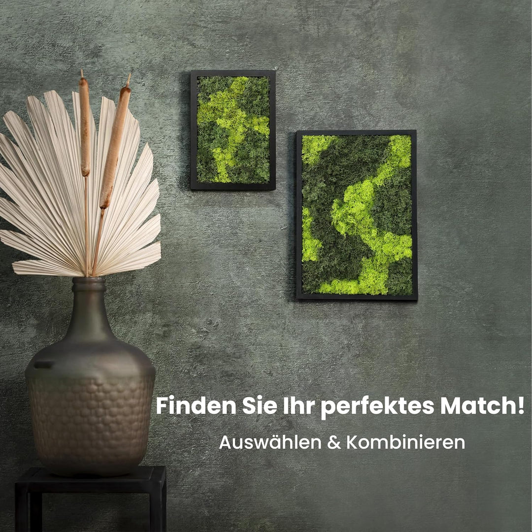 comforder Rechteckiges Wandbild mit echtem Moos (27x38 cm), Konserviertes Moosbild mit Holzrahmen, N