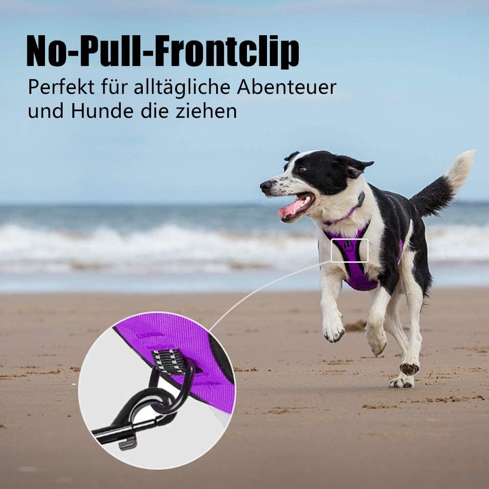 PoyPet No Pull Hundegeschirr, reflektierendes Westengeschirr mit 2 Leinenbefestigungen und einfachem
