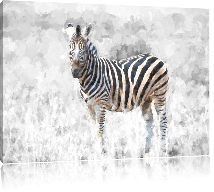 einzelnes Zebra im Wildgras schwarz/weiss Deluxe Format: 100x70 cm auf Leinwand, XXL riesige Bilder