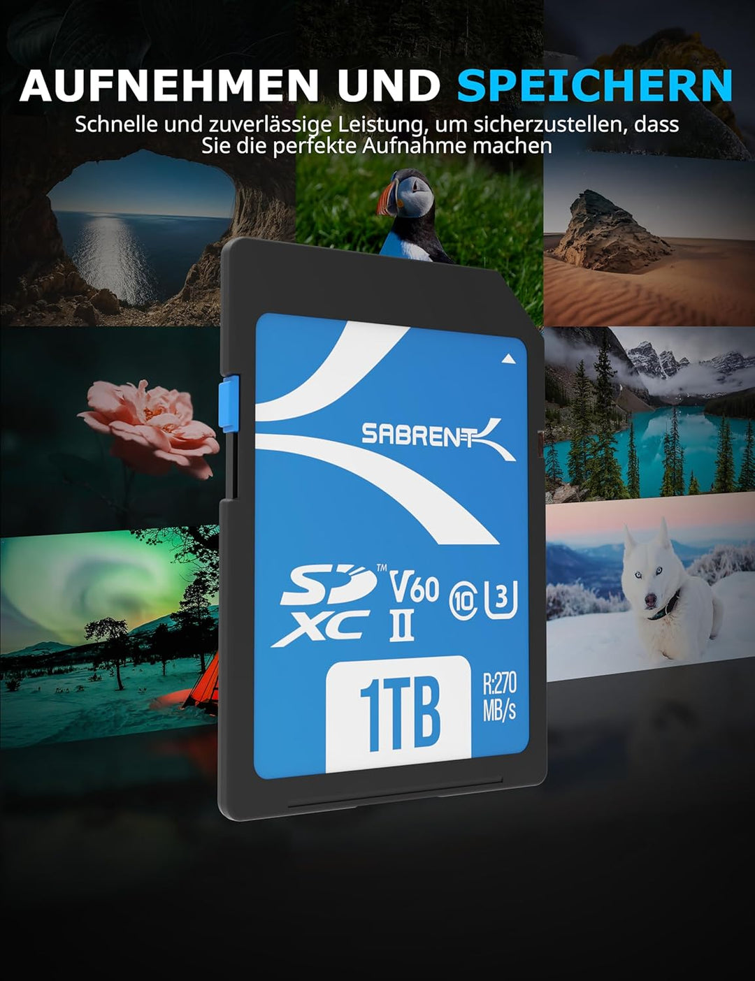 SABRENT SD Karte 1TB v60, sdxc Card uhs ii, SD Speicherkarte Class 10, u3, L270MB/s S170MB/s Full HD