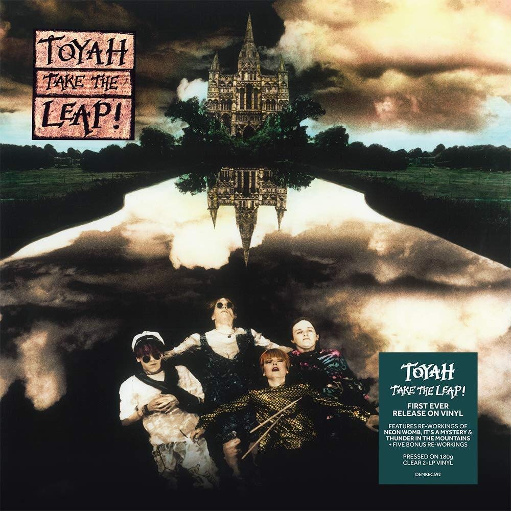 Take the Leap, Vinyl