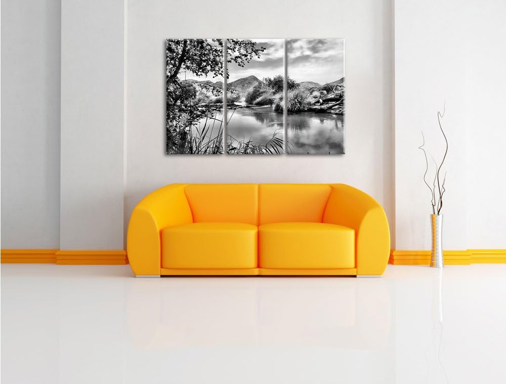 Pixxprint Monocrome, schöne Oase in der Savanne 3-Teiler Leinwandbild 120x80 Bild auf Leinwand