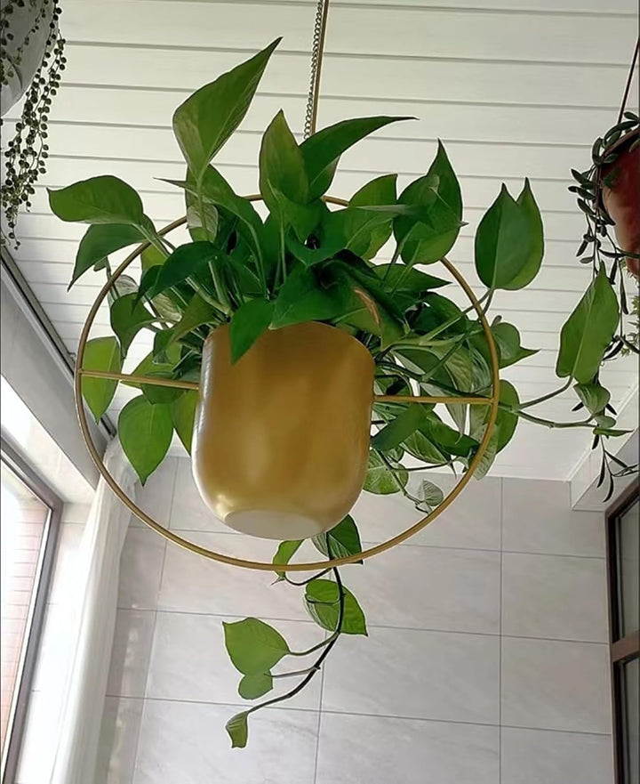 LIKEUDO 2 Stück Gold Metall Decke Hängende Blumentopf Hängende Blumenampel Sukkulenten Pflanzen Häng