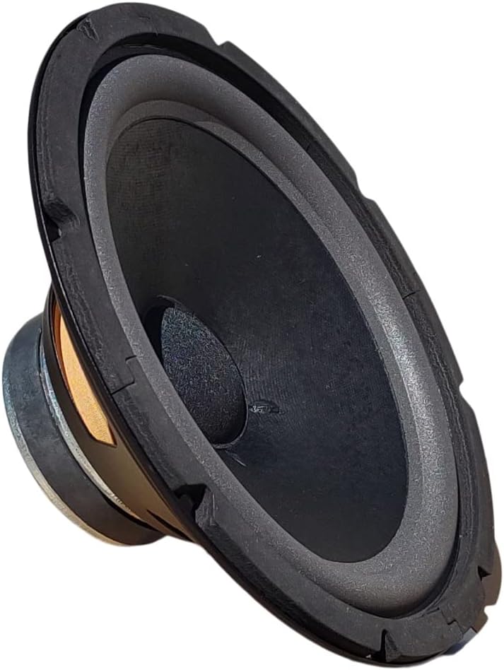1 CIARE HW250 Tieftöner 25 cm 250 mm 10" Durchmesser 90 Watt RMS und 180 Watt max. Impedanz 8 Ohm fü